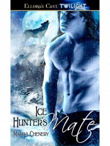 IceHuntersMate