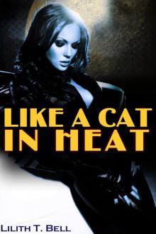 Like a Cat in Heat