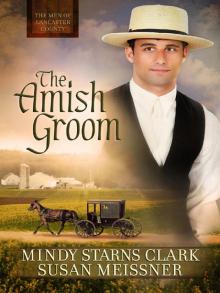 MEN OF LANCASTER COUNTY 01: The Amish Groom