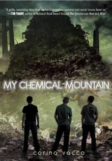 My Chemical Mountain