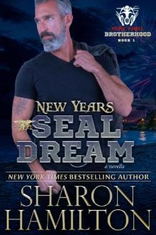 New Years SEAL Dream: A Bone Frog Brotherhood Novella