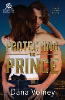 Protecting the Prince (Wyn Security)