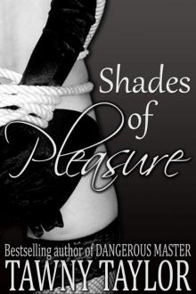 Shades of Pleasure: Five Stories of Domination and Submission