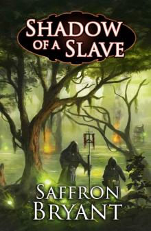 Shadow of a Slave (The Blood Mage Chronicles Book 1)