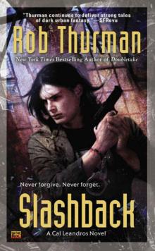 Slashback: A Cal Leandros Novel (CAL AND NIKO)