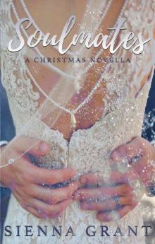 Soulmates 2.5: A Christmas Novella