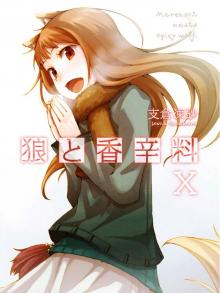 Spice & Wolf X (DWT)