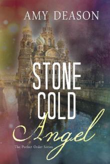 Stone Cold Angel (The Perfect Order Book 2)