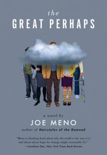 The Great Perhaps: A Novel