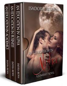 The Somerset Series: A Box Set: Books 2-4