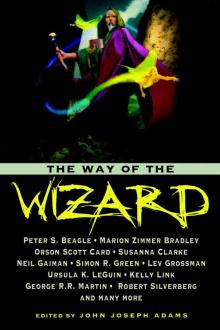 The Way of the Wizard