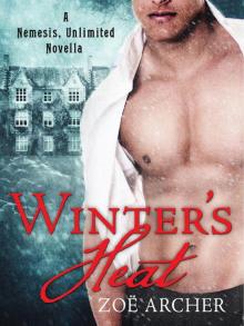 Winter's Heat: A Nemesis Unlimited Holiday Novella