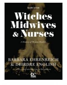 Witches, Midwives, and Nurses