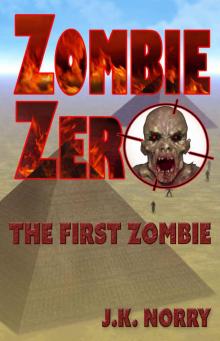 Zombie Zero