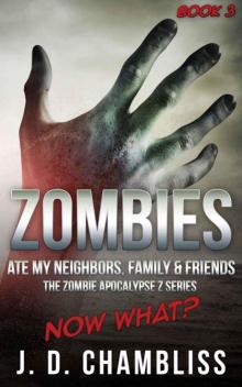 Zombies Ate My Neighbors, Family & Friends (Book 3)