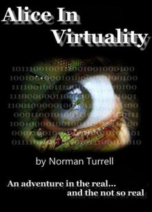 Alice in Virtuality