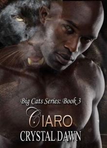 Ciaro (Big Cats Book 3)