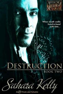 Destruction (Asylum for the Mechanically Insane Book 2)