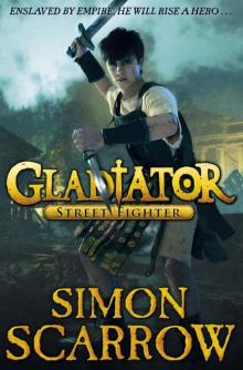 Gladiator: Street fighter