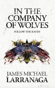 In The Company of Wolves_Follow The Raven