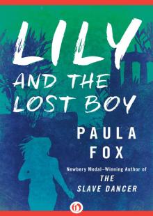 Lily and the Lost Boy