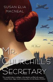 Mr. Churchill's Secretary: A Novel