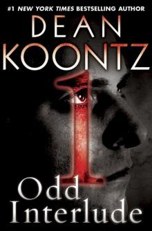 Odd Interlude #1 (An Odd Thomas Story)