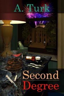 Second Degree (Benjamin Davis Book Series 2)