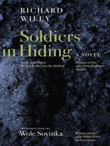 Soldiers in Hiding