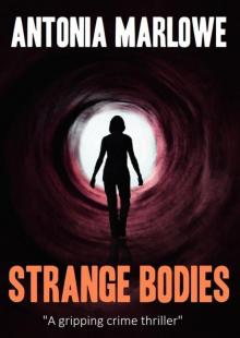 STRANGE BODIES (a gripping crime thriller)