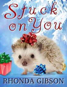 Stuck On You (A Christmas Novella)