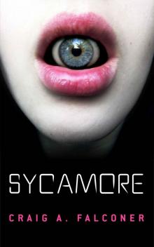 Sycamore