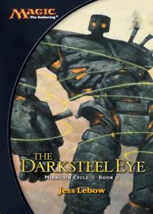 The Darksteel Eye