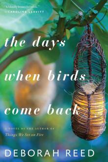 The Days When Birds Come Back