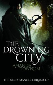 The Drowning City: The Necromancer Chronicles Book One