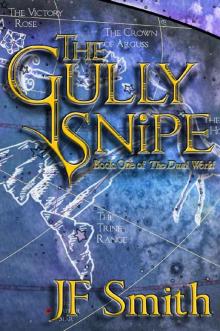 The Gully Snipe (The Dual World Book 1)