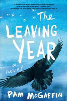 The Leaving Year