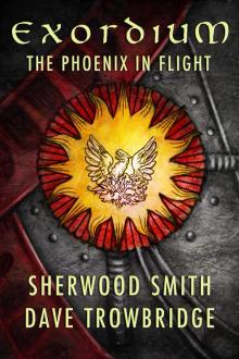 The Phoenix in Flight