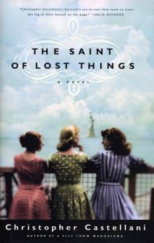 The Saint of Lost Things