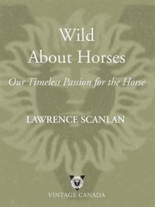 Wild About Horses