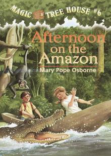 Afternoon on the Amazon