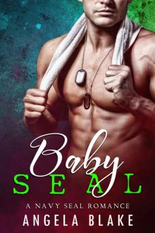 Baby Seal_A Navy Seal Romance