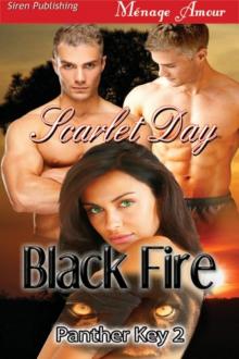 Black Fire [Panther Key 2] (Siren Publishing Ménage Amour)