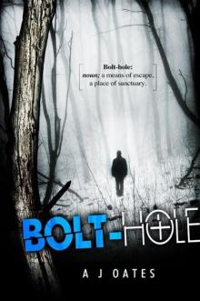 Bolt-hole