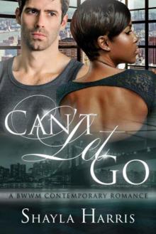 Can't Let Go - A Contemporary BWWM Romance