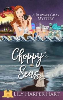 Choppy Seas (A Rowan Gray Mystery Book 5)