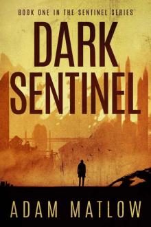 Dark Sentinel: Book one in the Sentinel Series