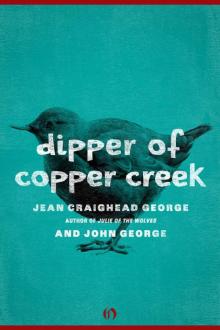 Dipper of Copper Creek (American Woodland Tales)