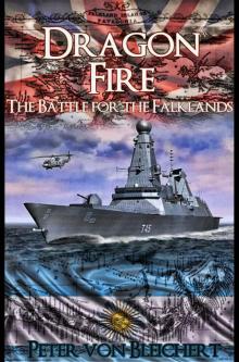 Dragon Fire (The Battle for the Falklands Book 2)