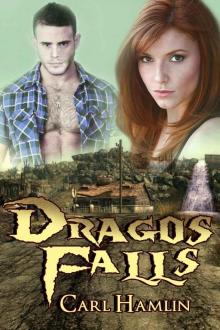 Dragos Falls